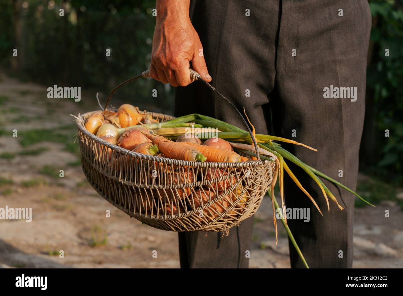 Farmer holding basket with vegetables Stock Photo