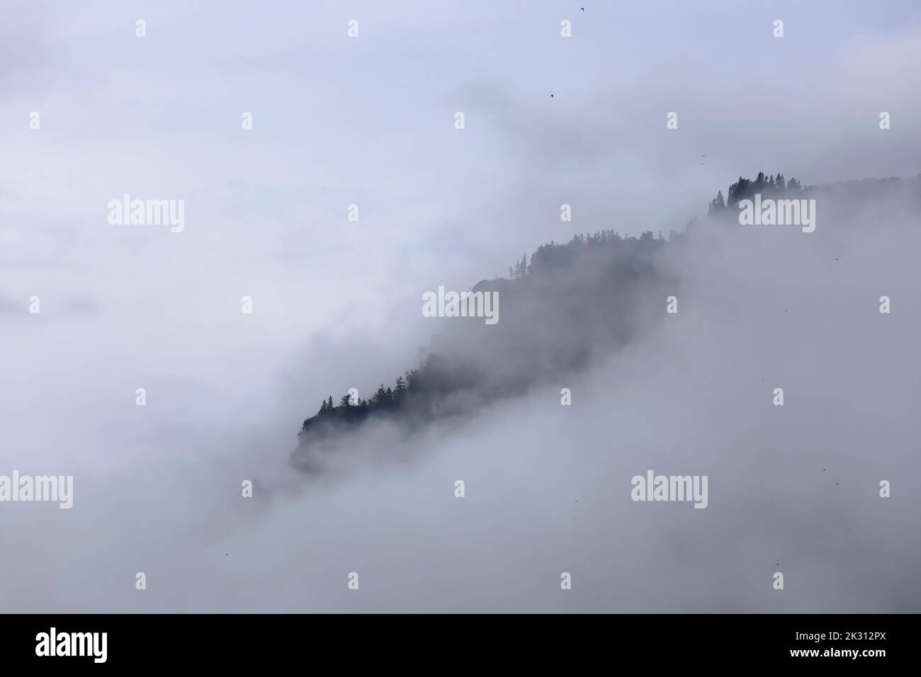 Mountain peak shrouded in thick fog Stock Photo - Alamy