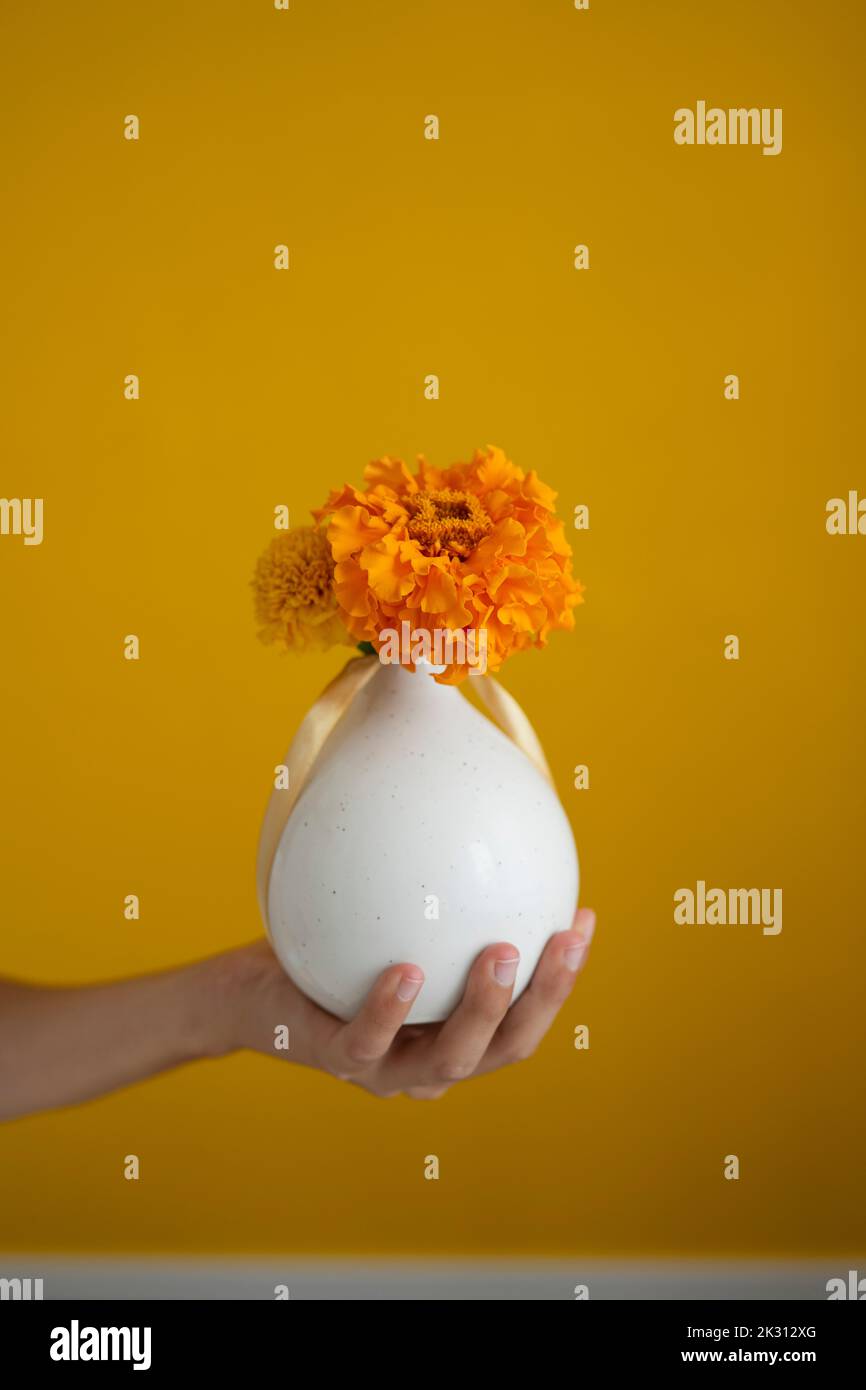 Hand of girl holding flower vase in front of yellow wall Stock Photo