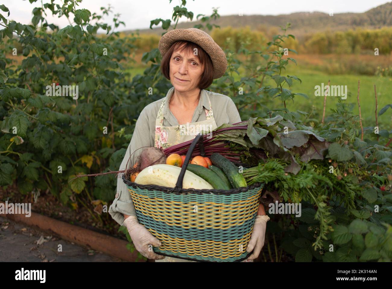 Smiling senior woman with basket of freshly picked vegetables standing by plant Stock Photo