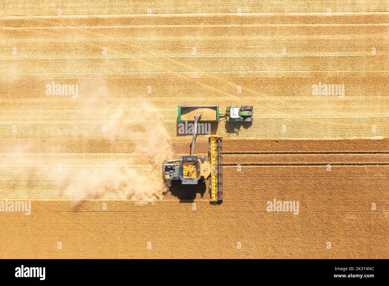 Aerial view of combine harvester in vast wheat field Stock Photo - Alamy