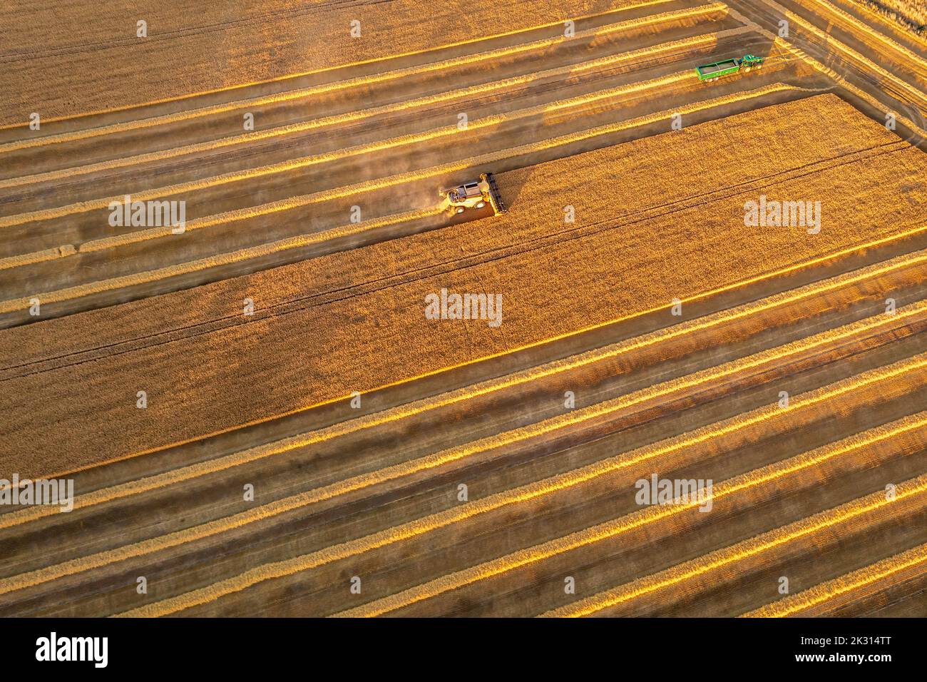 Aerial view of combine harveser in vast wheat field Stock Photo - Alamy