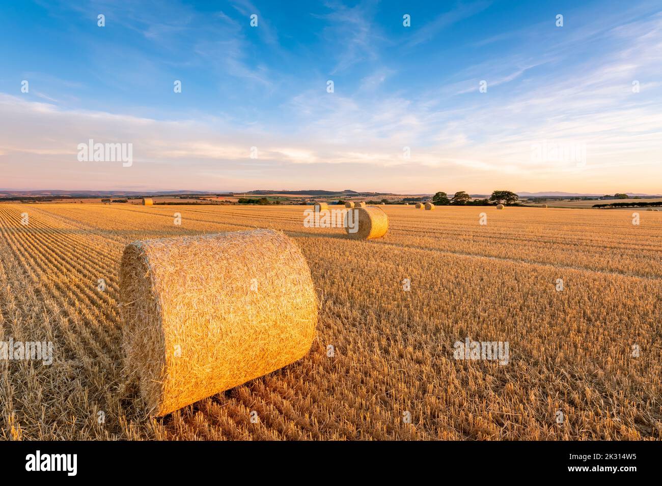 Hay bales lying in field at dusk Stock Photo - Alamy