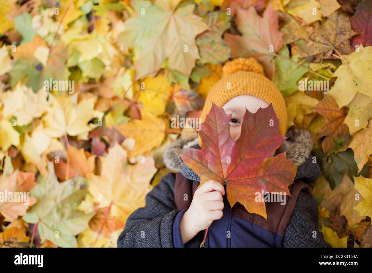 Boy covering face with autumn leaf Stock Photo - Alamy