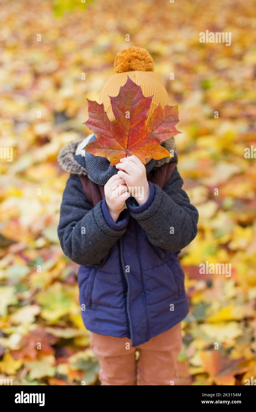 Playful boy covering face with leaf at park Stock Photo - Alamy
