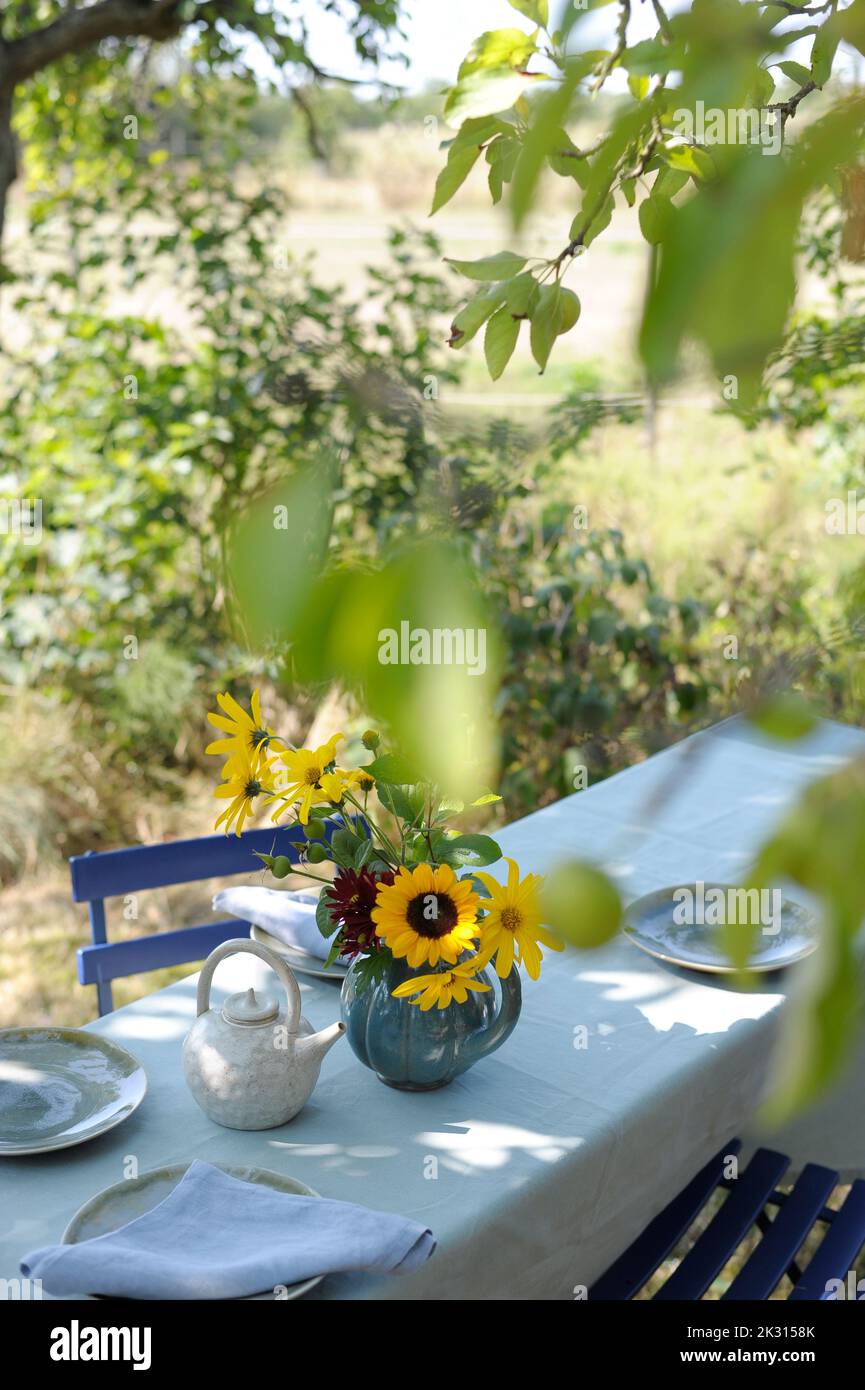 Autumn decorated table set in garden Stock Photo