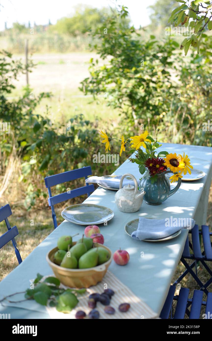 Autumn decorated table set in garden Stock Photo