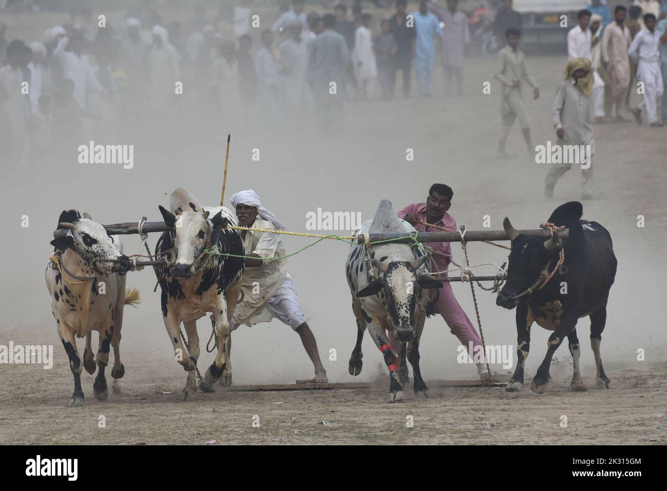 260 gb hi-res stock photography and images - Alamy