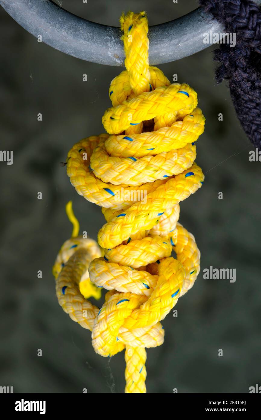 Yellow knot hi-res stock photography and images - Alamy