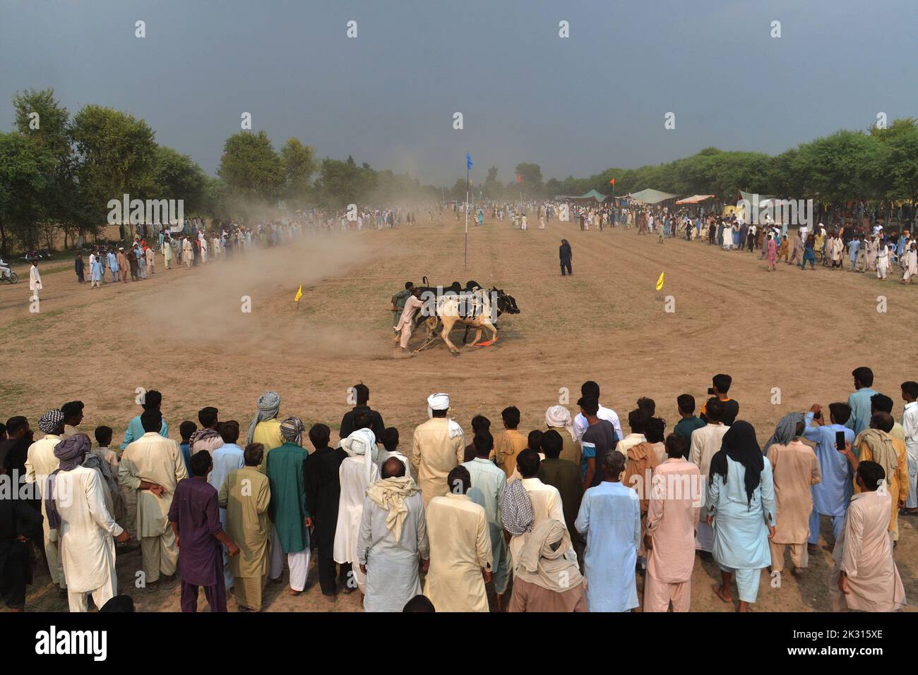 Tandlianwala, Punjab, Pakistan. 23rd Sep, 2022. Pakistani farmer guides ...