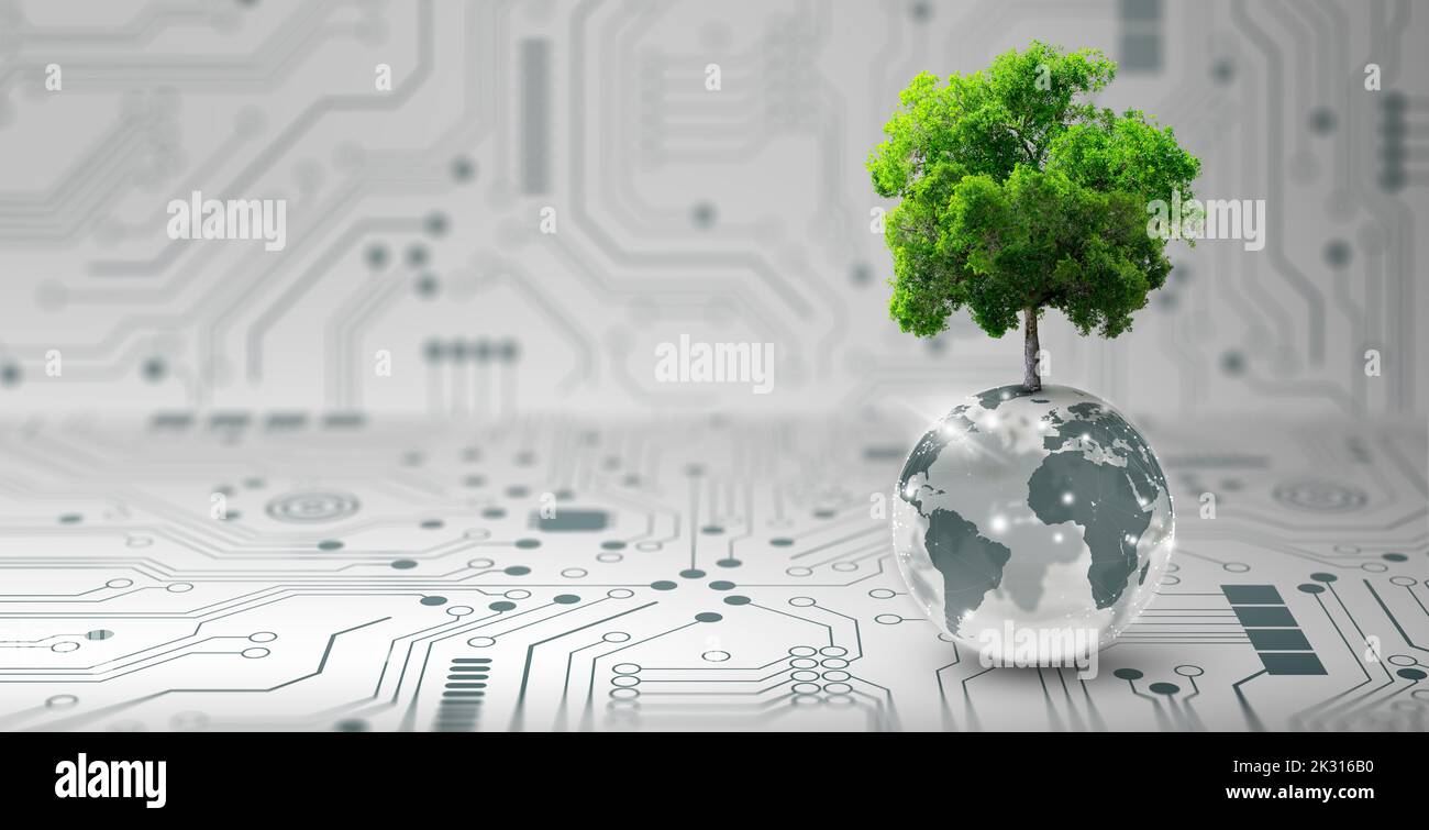 Tree growing on crystal globe. Digital Convergence and and Technology Convergence. Blue light, binary and network background. Green Computing. Stock Photo