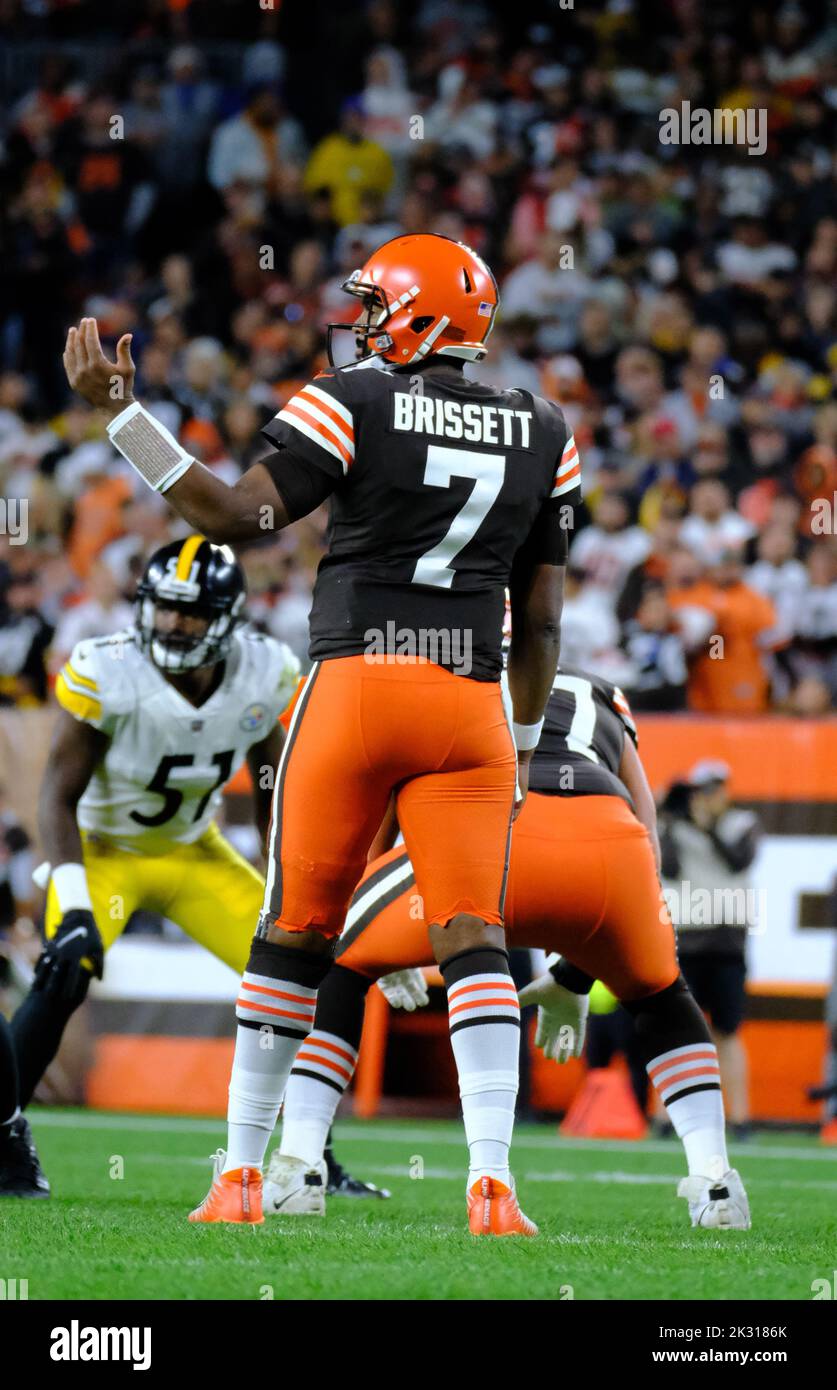 Jacoby brissett browns hires stock photography and images Alamy