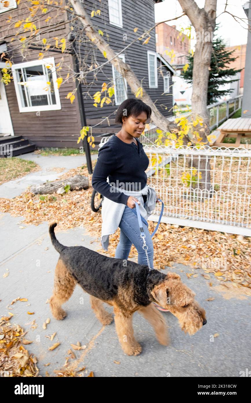 Walking small black dog hi-res stock photography and images - Alamy