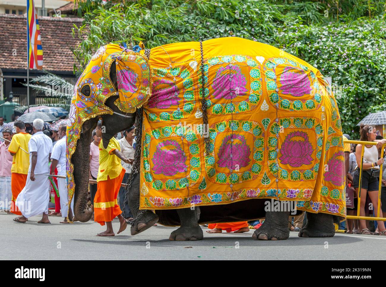 A ceremonial elephant is lead to the starting point of the Day Perahera, the final event of the Buddhist Esala Perahera, at Kandy in Sri Lanka. Stock Photo