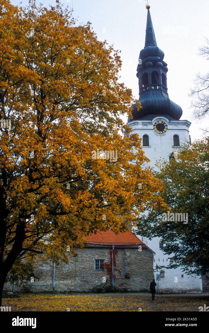 Tallinn, Estonia. Toomkirik or Lutheran Church Stock Photo