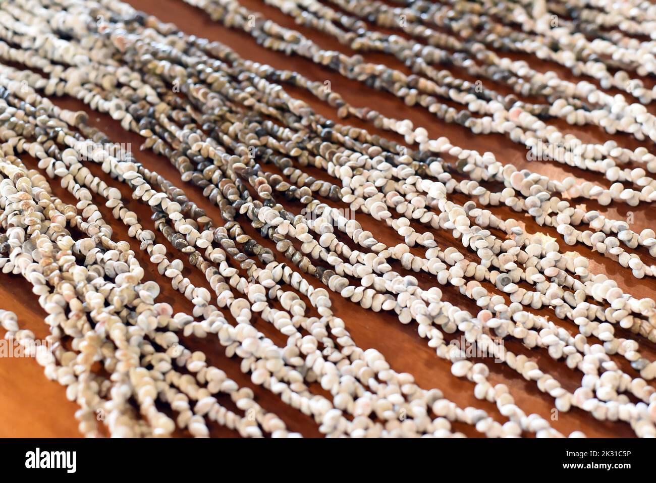 prepared threads with seashells for decorating and handmade in vietnam Stock Photo
