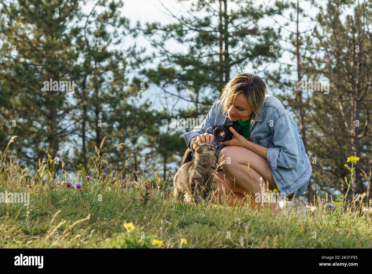 Woman photographer plays with lonely cat walking on forest meadow against blurry green trees Stock Photo