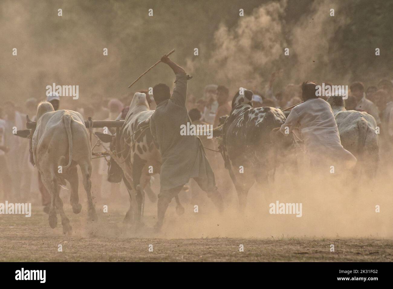 2022 456 jpg hi-res stock photography and images - Alamy