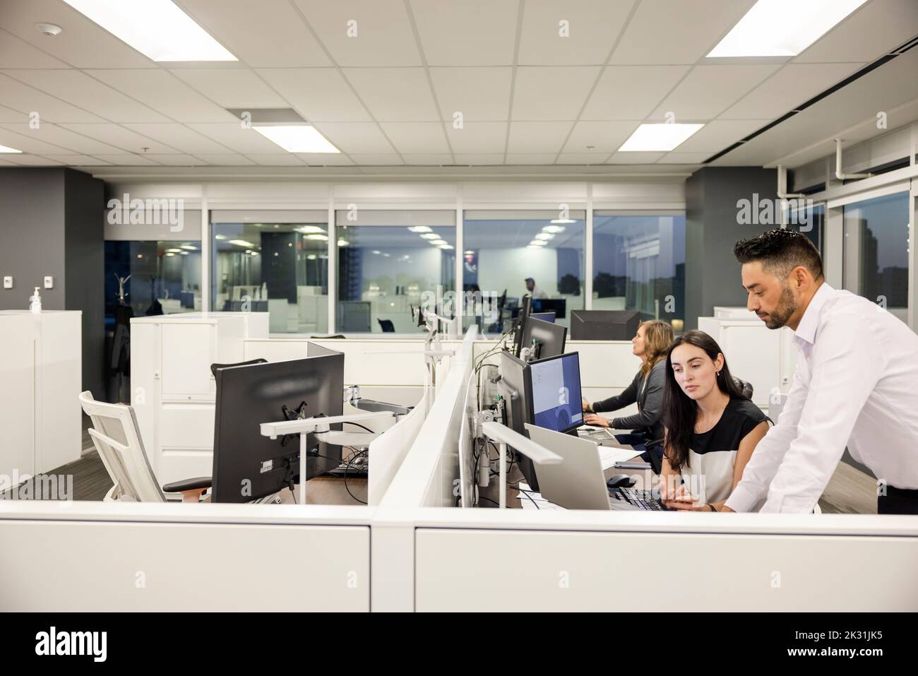 business people working at computers in office cubicles Stock Photo Alamy