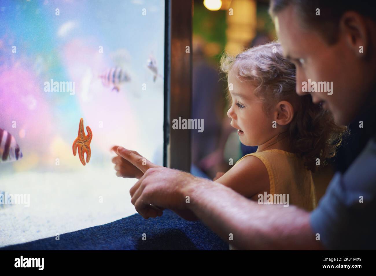 This one is called a starfish. a father taking his little daughter on an outing to the aquarium. Stock Photo