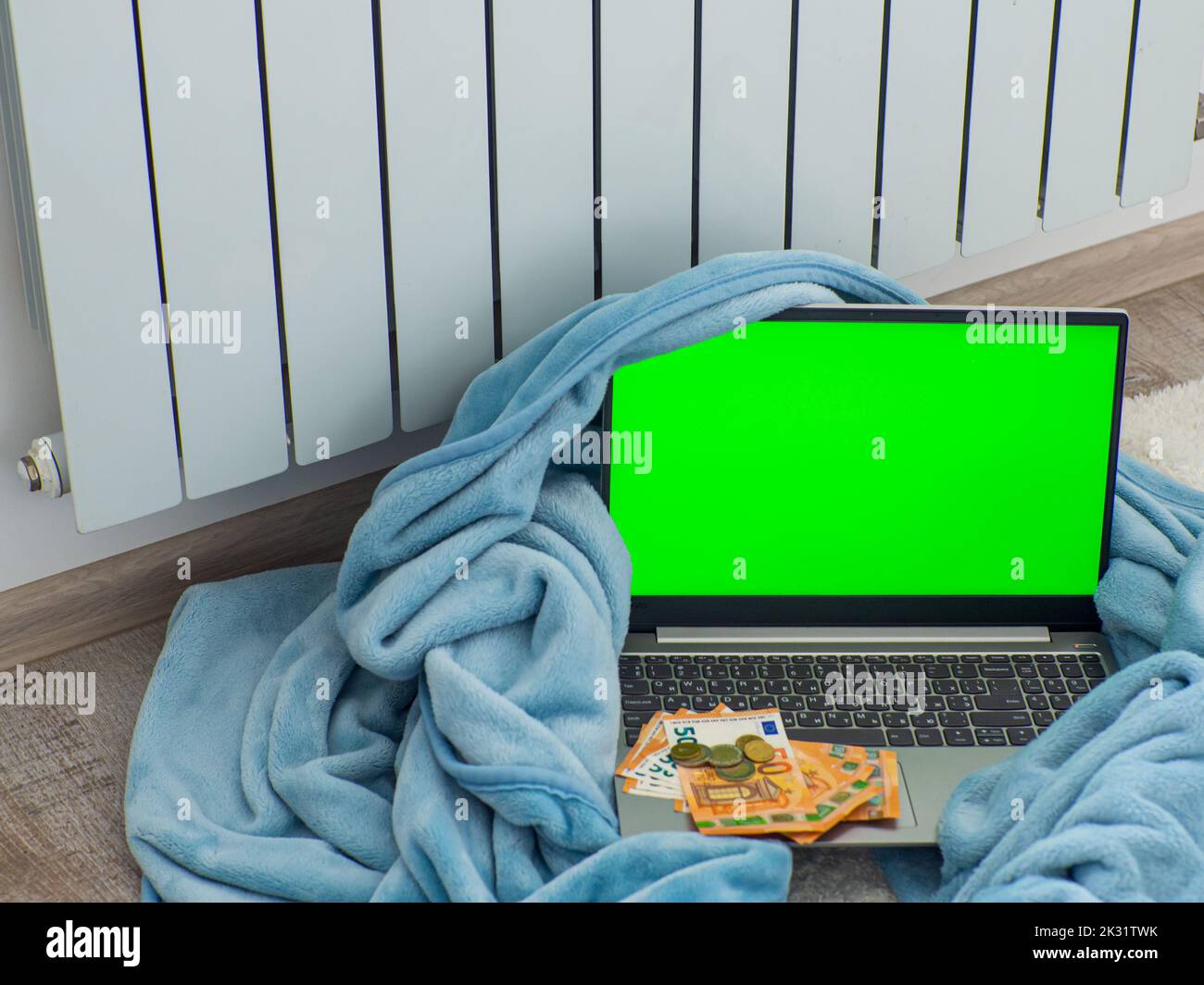 Laptop with euro banknotes and coins near the battery. Expensive energy resources, energy crisis in Europe. Freelance, online education, work. Mockup Stock Photo