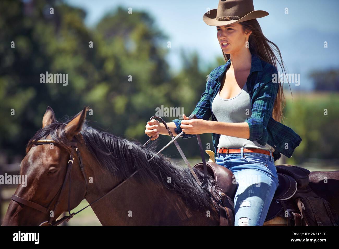 Loving the outdoors. a beautiful young woman riding a horse. Stock Photo