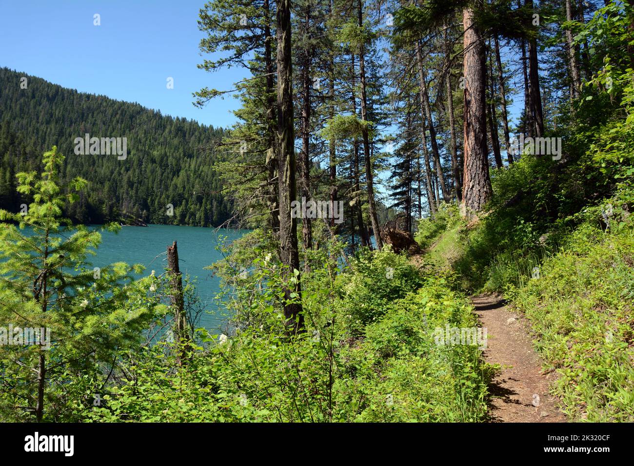 Along a hiking trail on Bead Lake, in the Kaniksu National Forest, in Pend-Oreille County, northeastern Washington State, United States. Stock Photo
