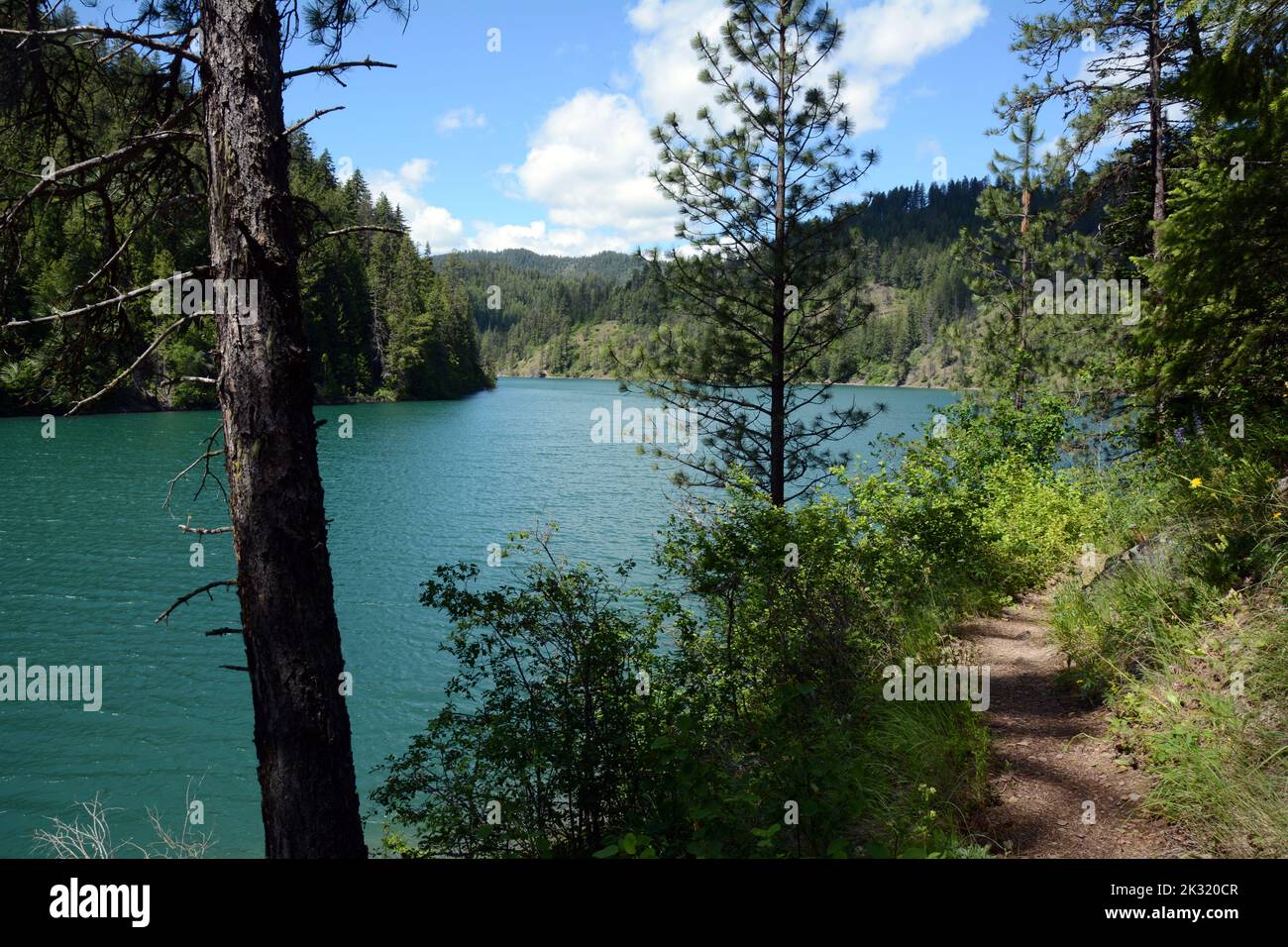 Along a hiking trail on Bead Lake, in the Kaniksu National Forest, in Pend-Oreille County, northeastern Washington State, United States. Stock Photo