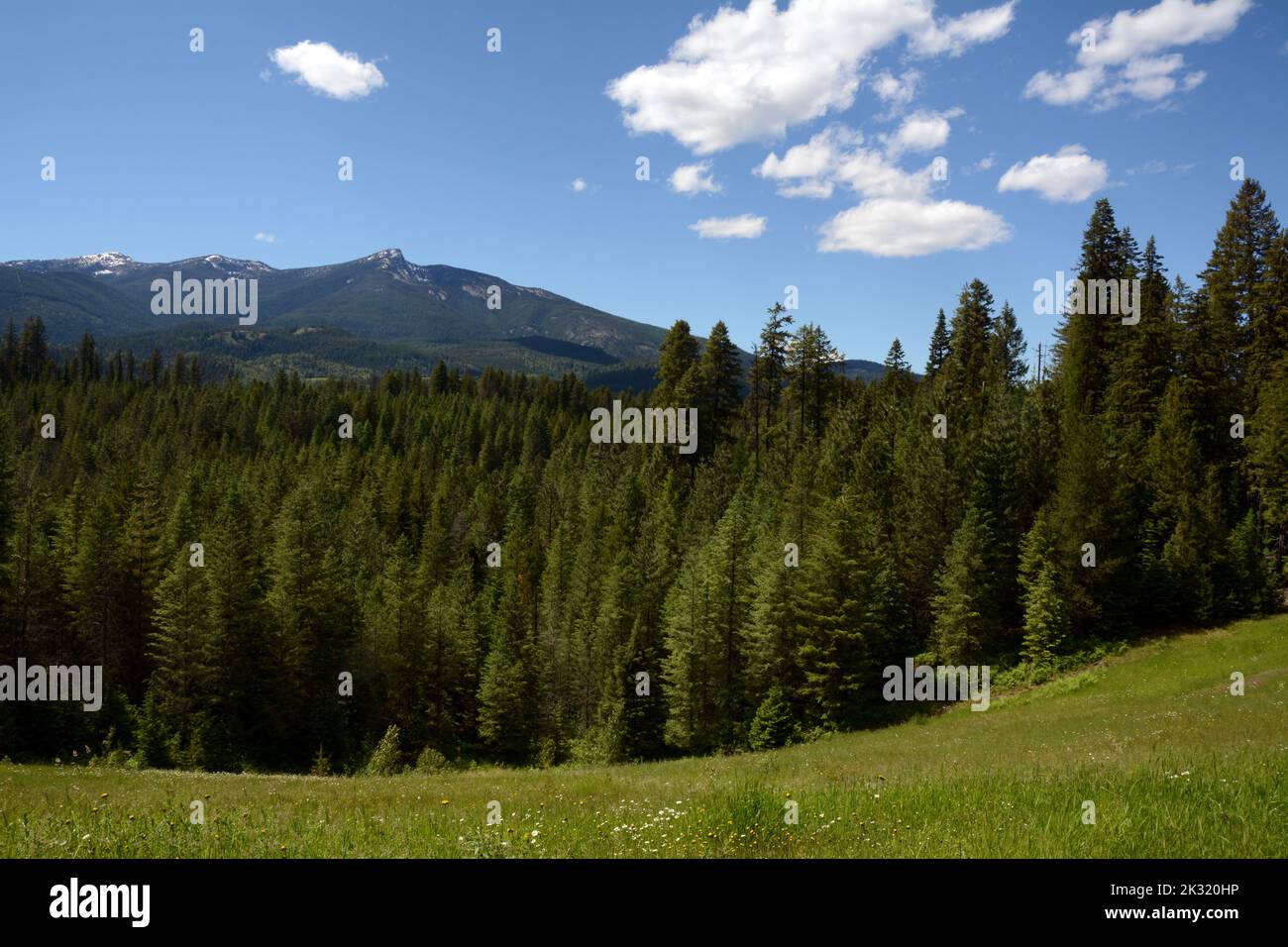 Hooknose Mountain, in the Selkirk Range and Colville National Forest, in Pend-Oreille County, northeastern Washington State, United States. Stock Photo