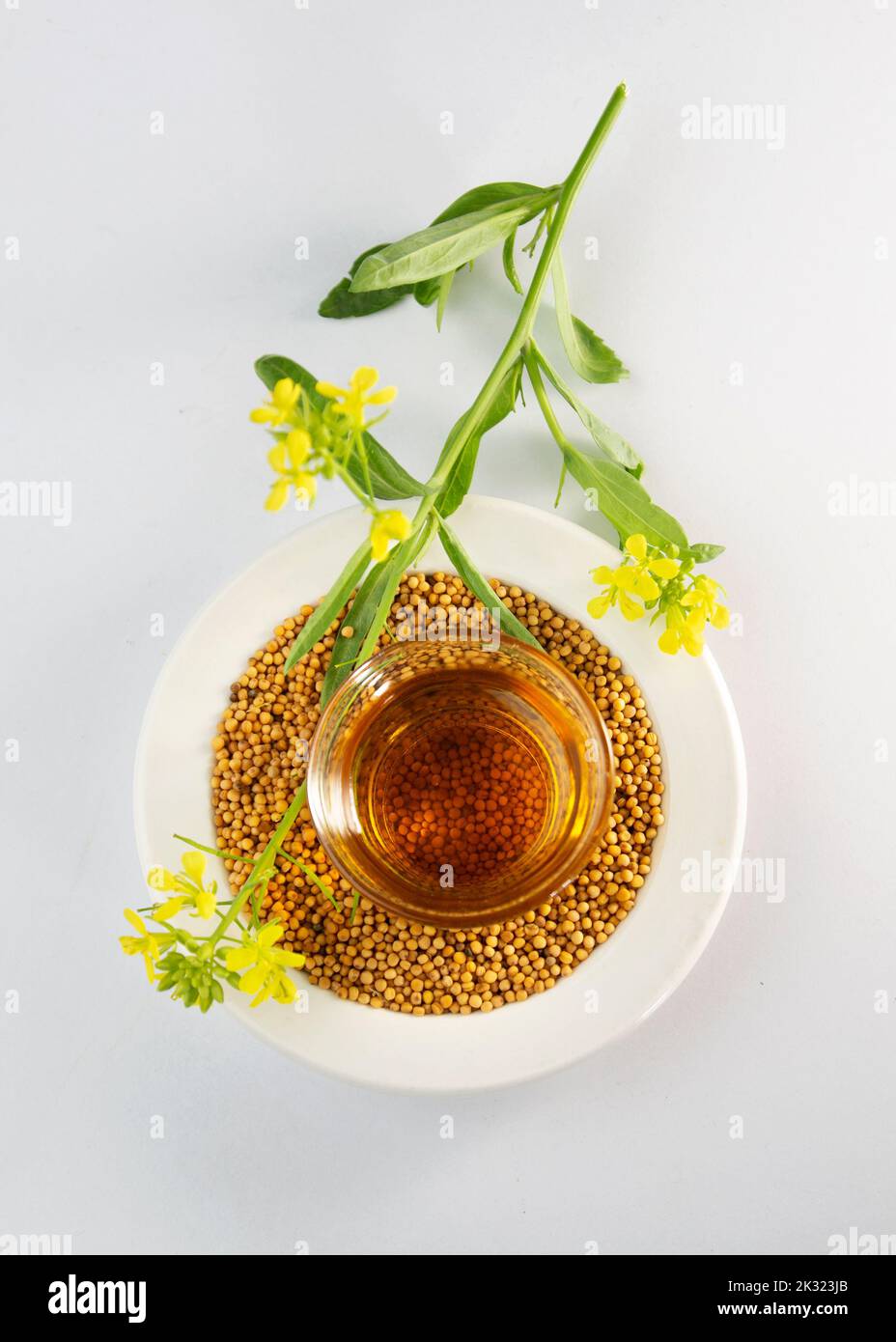 mustard oil, seed and flower on dish on white background. useful in cooking and external body care. Mustard seeds and oil with mustard plants with pod Stock Photo