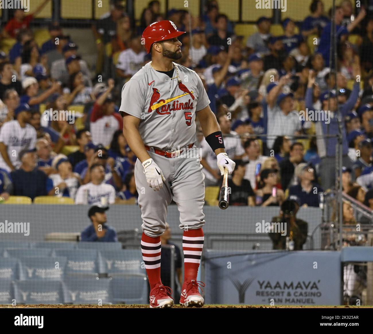 Los Angeles, United States. 23rd Sep, 2022. St. Louis Cardinals slugger Albert Pujols watches his 699th home run, a two-run blast that travelled 454 feet into the left-field pavilion, off Dodgers starting pitcher Andrew Heaney during the third inning at Dodger Stadium in Los Angeles on Friday, September 23, 2022. Photo by Jim Ruymen/UPI Credit: UPI/Alamy Live News Stock Photo
