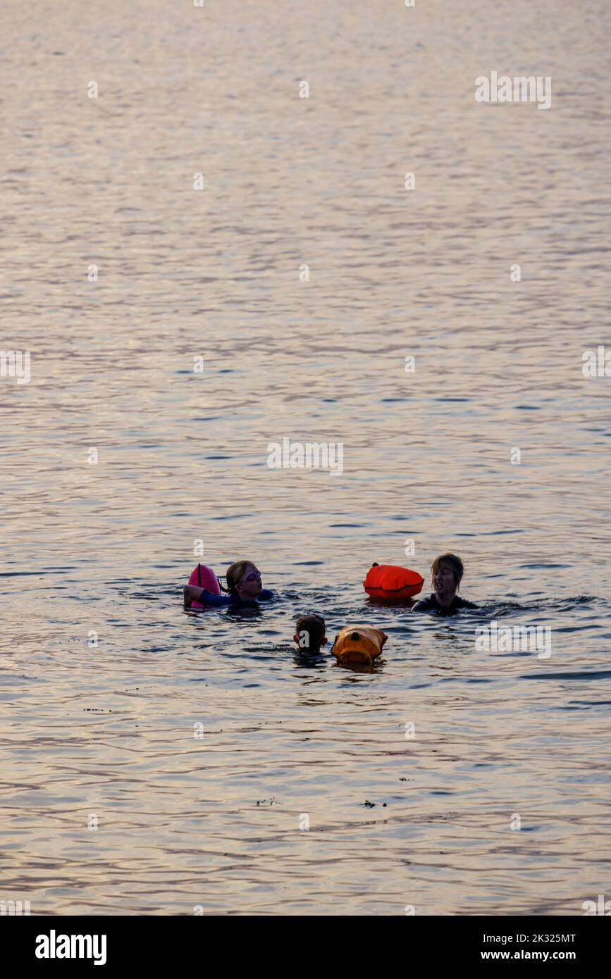 Open water swimmers sea hi-res stock photography and images - Alamy
