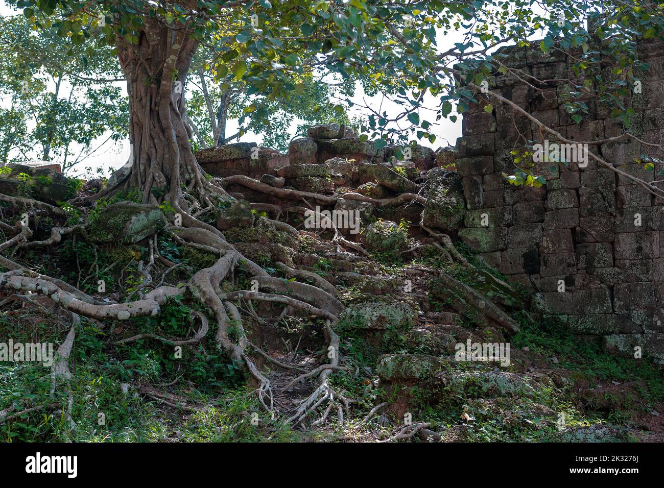 Ruined wall near the South Gate entrance to Angkor Thom, Siem Reap, Cambodia Stock Photo