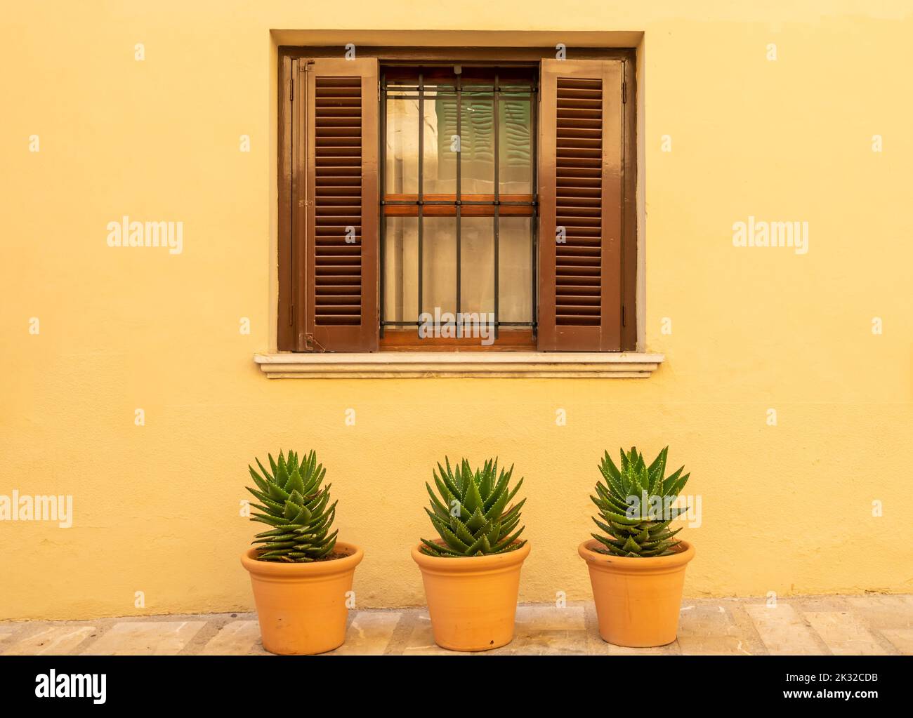 Window with wooden shutters on a yellow facade and three potted cacti on the ground Stock Photo