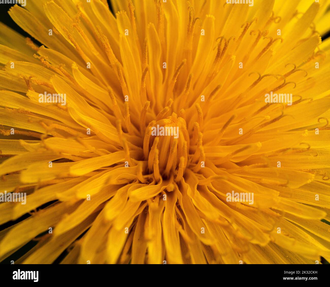 Sure sign of spring hi-res stock photography and images - Alamy
