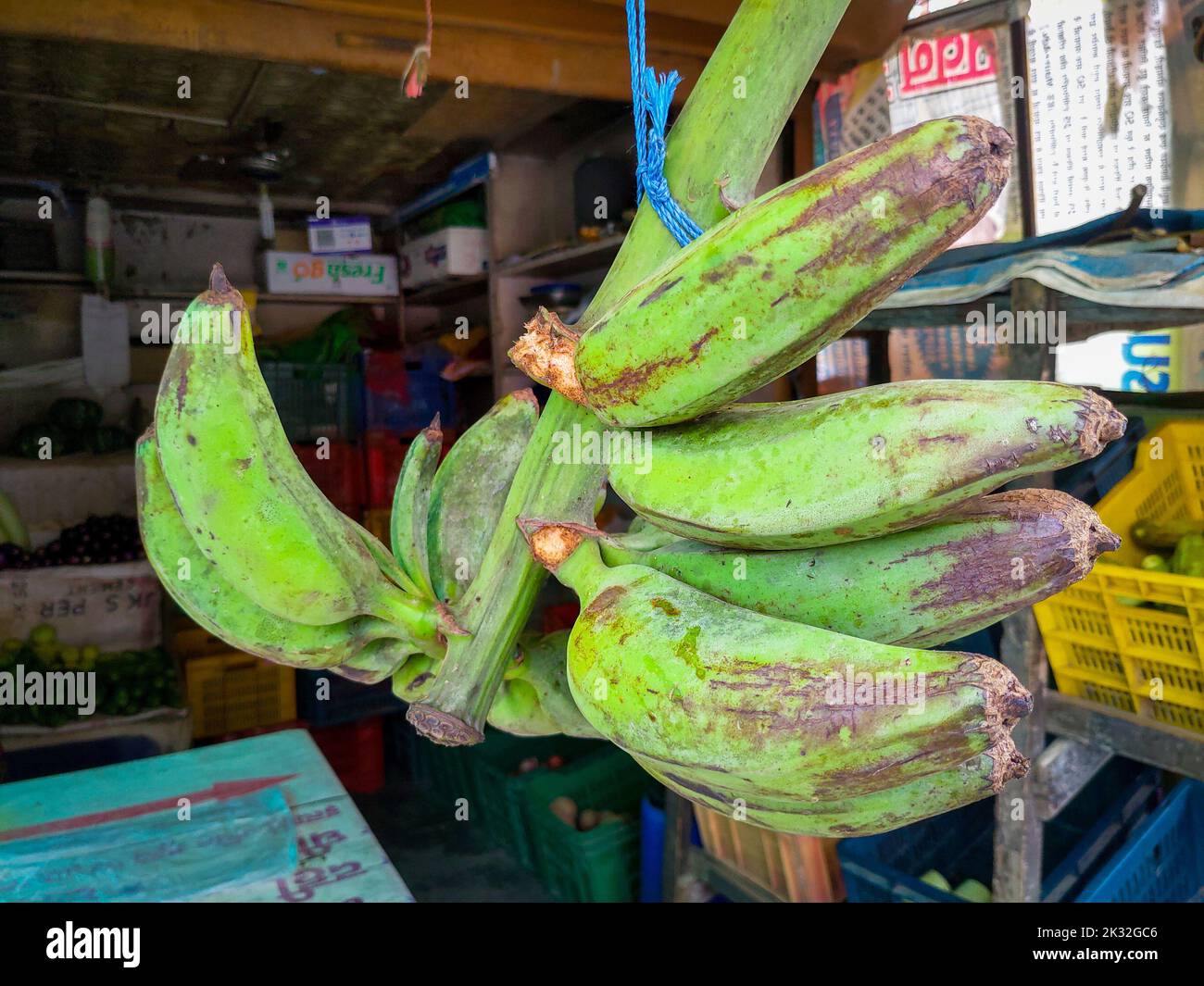 September 4th 2021, Uttarakhand India. Raw green organic bananas hanging outside an Indian roadside vegetable vendor shop. Stock Photo
