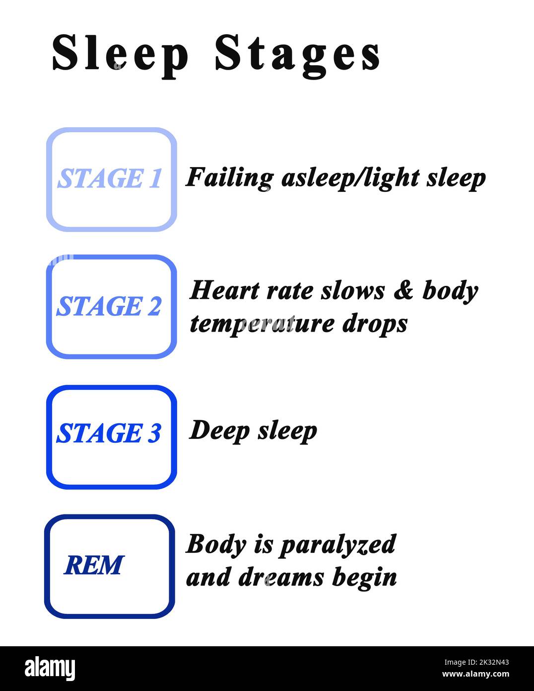 Four Sleep Stages Stock Photo Alamy