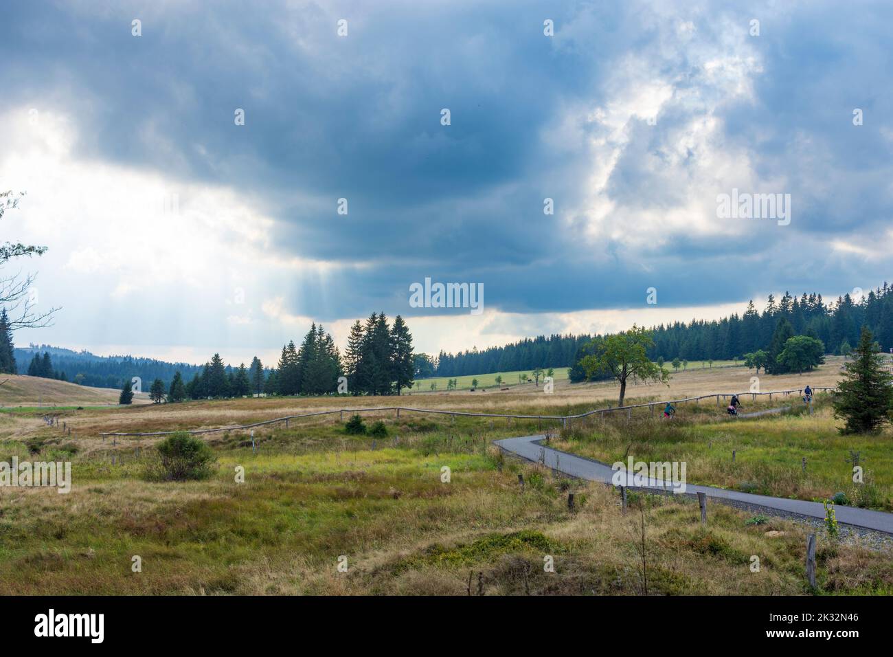 Bozi Dar (Gottesgab): Ore Mountains: meadow, forest, cyclists in Erzgebirge, Ore Mountains, Karlovarsky, Karlovy Vary Region, Karlsbader Region, Czech Stock Photo