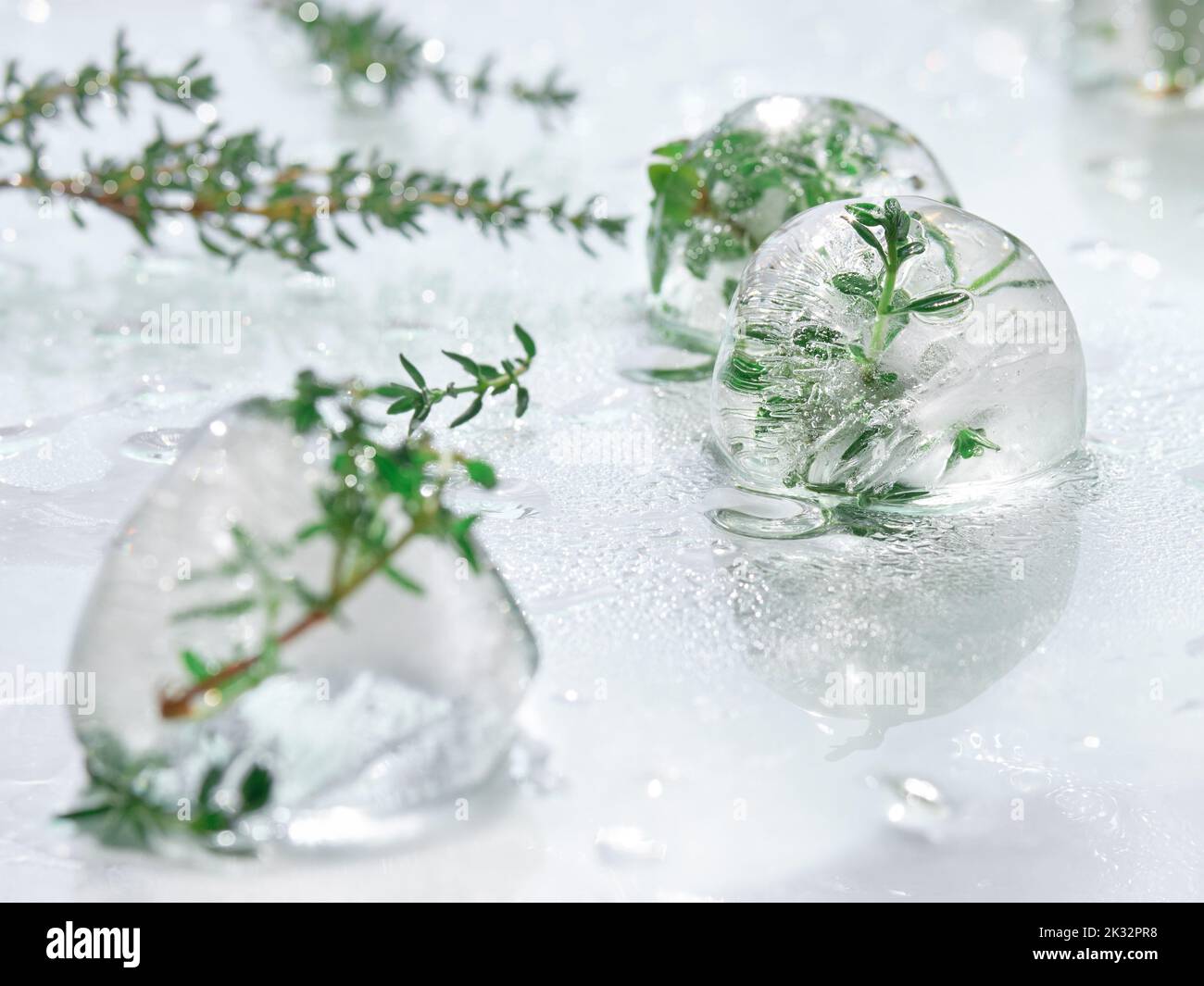 Wet off white water background with melting balls of ice with frozen herbs. Rosemary, oregano and thyme plants. Frozen plants inside pieces of ice. Stock Photo