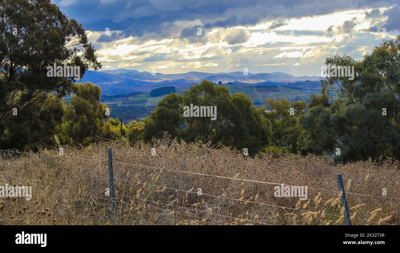 Red hill canberra australia hi-res stock photography and images - Alamy