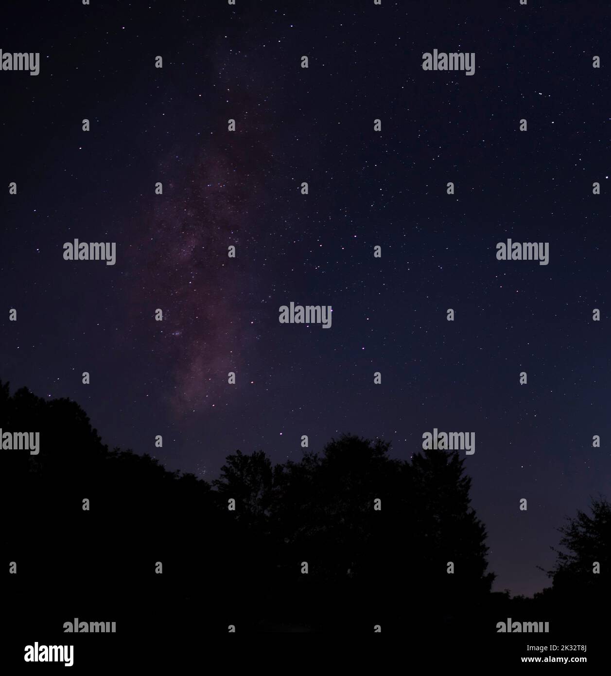 Milky Way seen from over a forest near Raeford North Carolina Stock