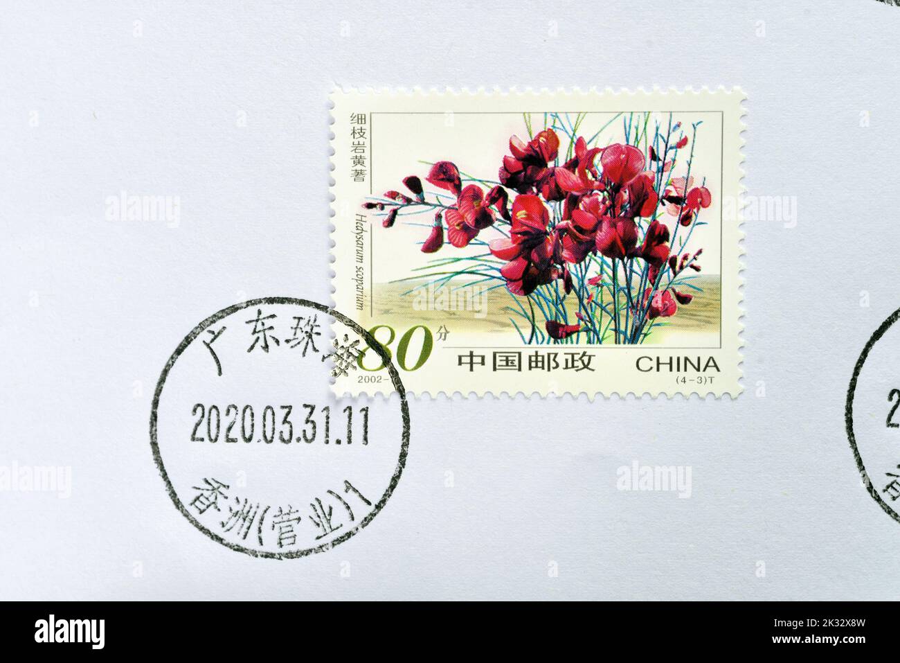 CHINA - CIRCA 2002: A stamps printed in China shows Desert Plants -  Hedysarum scoparium, circa 2002. Stock Photo