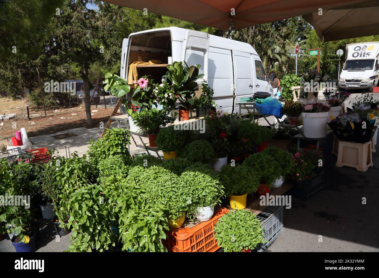 People Shopping at Saturday Market Stall Selling Flowers and Herbs Vouliagmeni Athens Greece Stock Photo