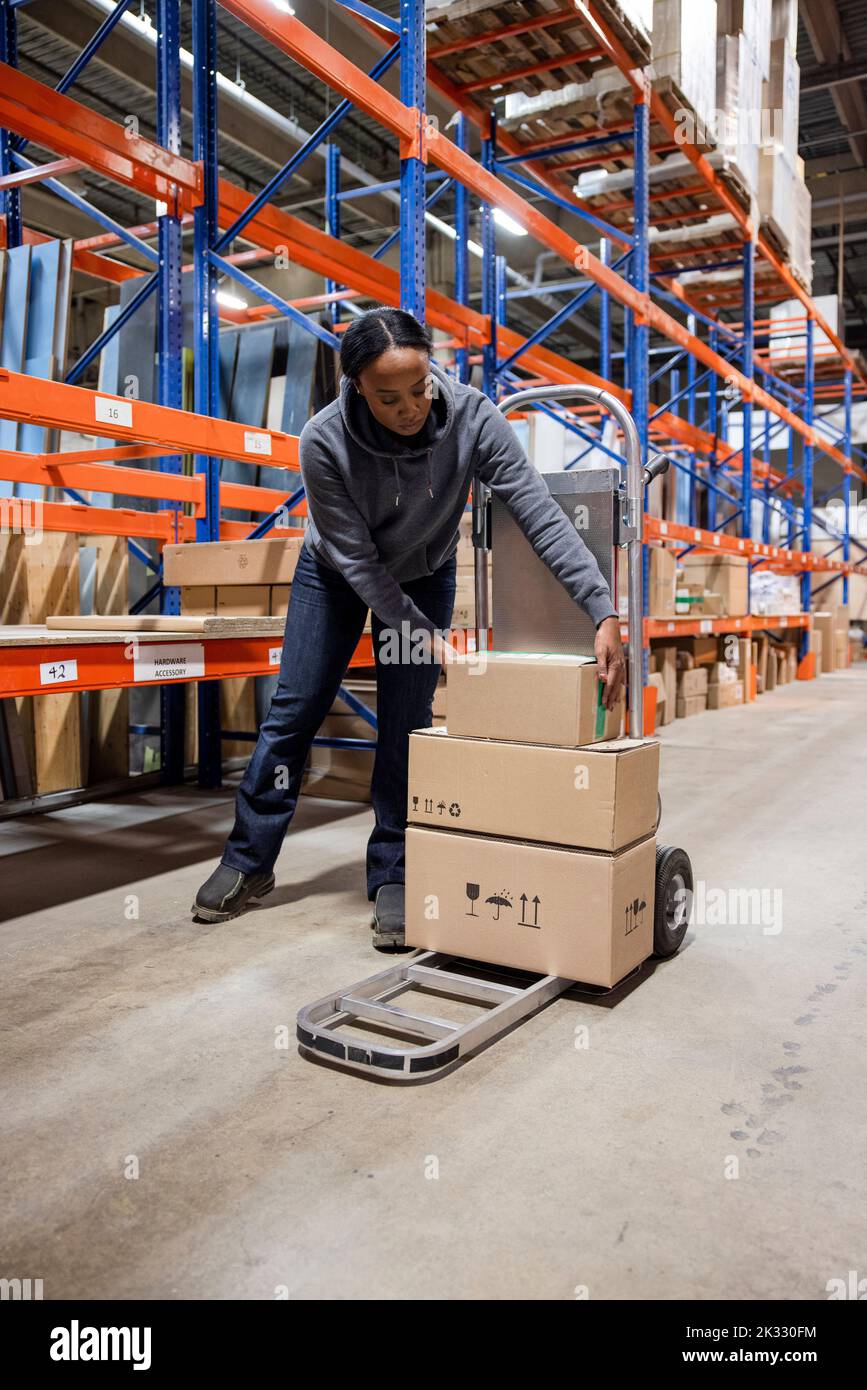 Worker stacking boxes on trolley in distribution warehouse Stock Photo