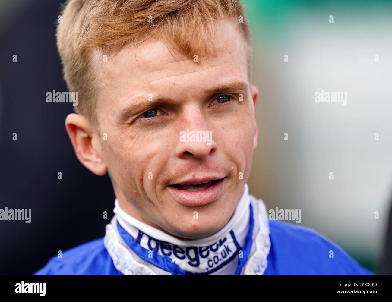 The foxes horse newmarket hi-res stock photography and images - Alamy
