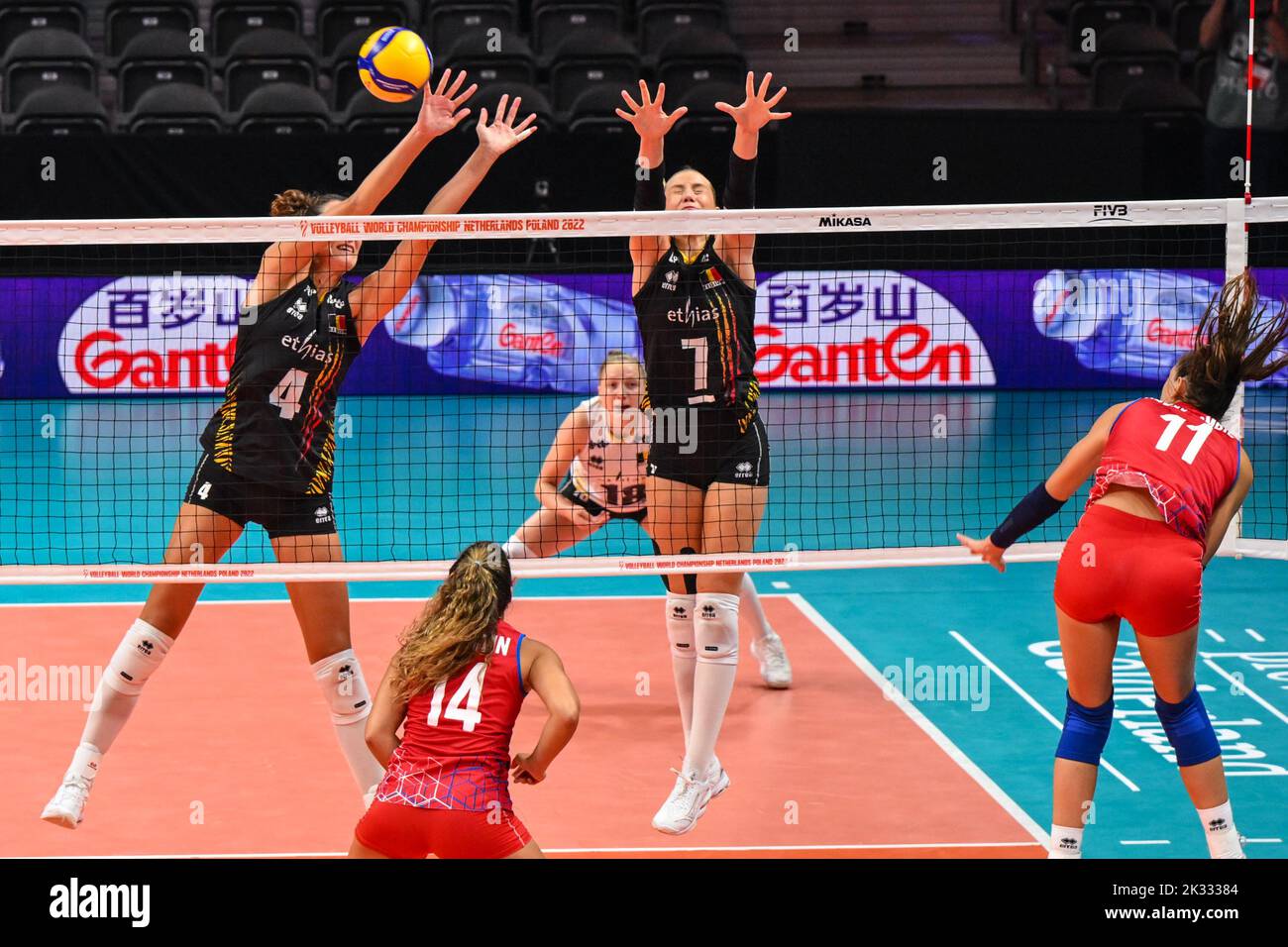 Belgium's Nathalie Lemmens and Belgium's Celine Van Gestel pictured in  action during a volleyball game between Belgian national women's team the  Yellow Tigers and Puerto Rico, Saturday 24 September 2022 in Arnhem