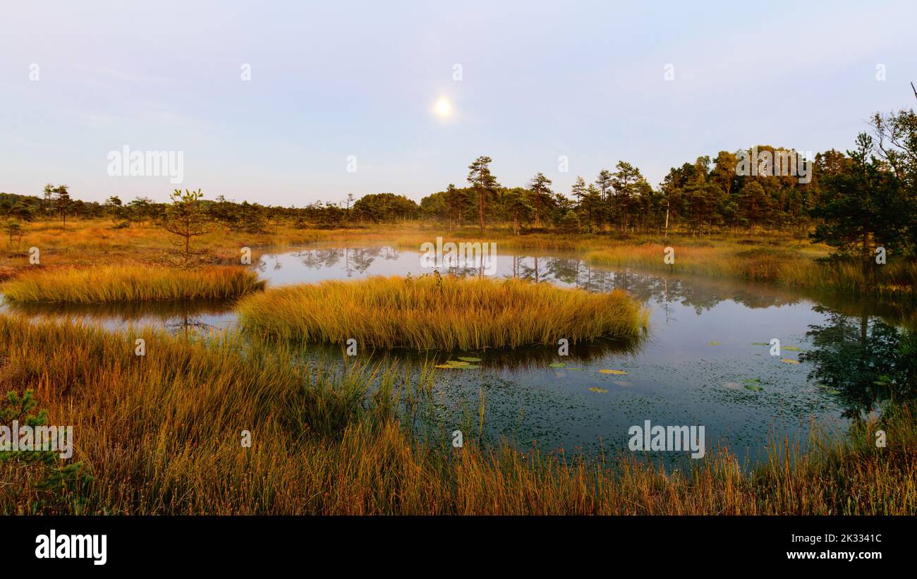 amazing sunrise picture with gorgeous sky, marsh at sunrise, magical ...