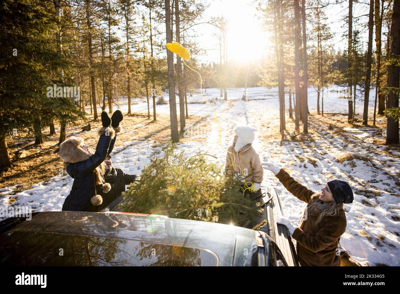 Christmas tree car roof hires stock photography and images Alamy