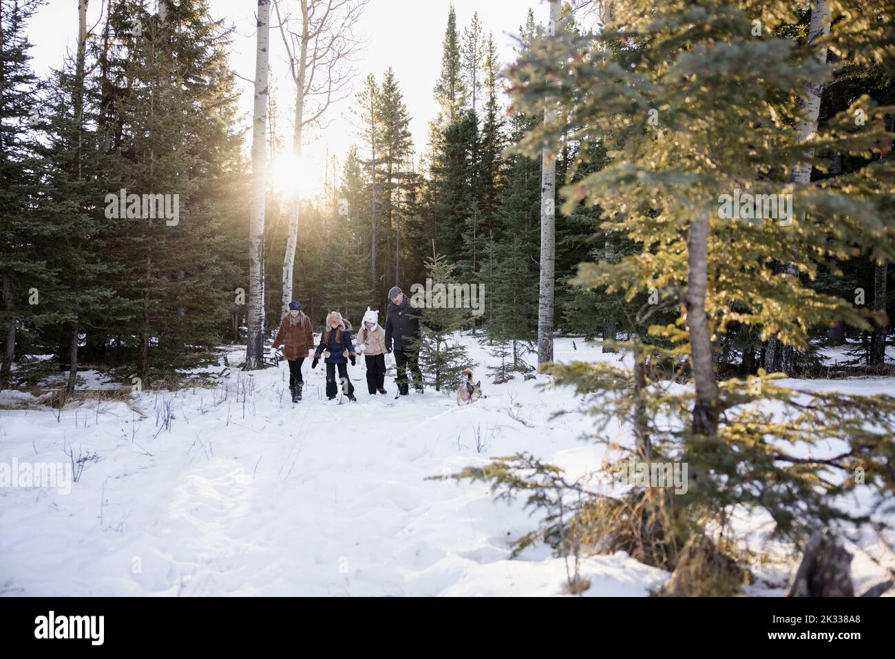 Walking through snowy forest hi-res stock photography and images - Alamy