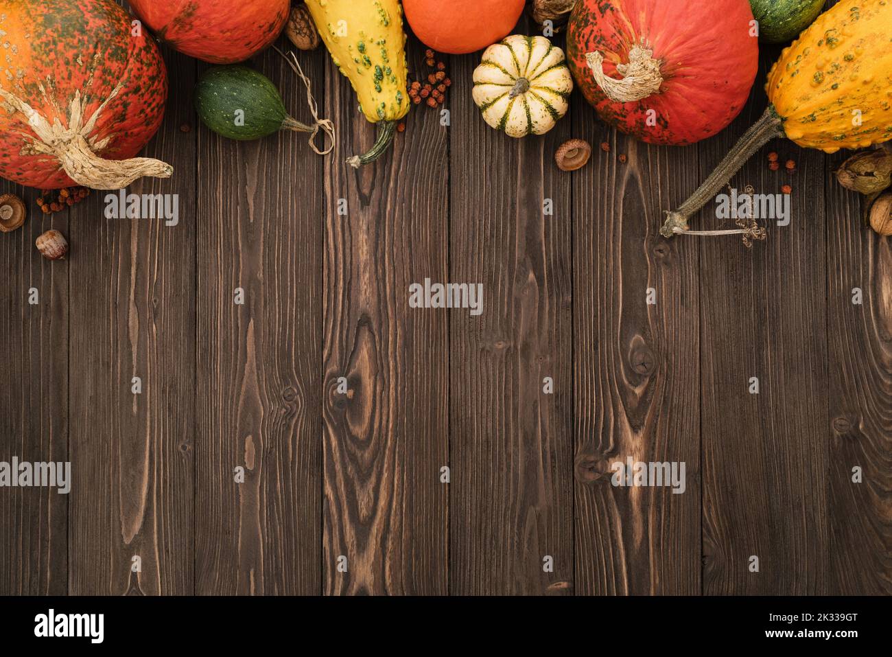 Autumn vintage background with harvest of pumpkins and decorative gourds Stock Photo